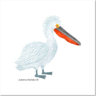 Dalmatian Pelican Bird Realistic Illustration Posters and Art